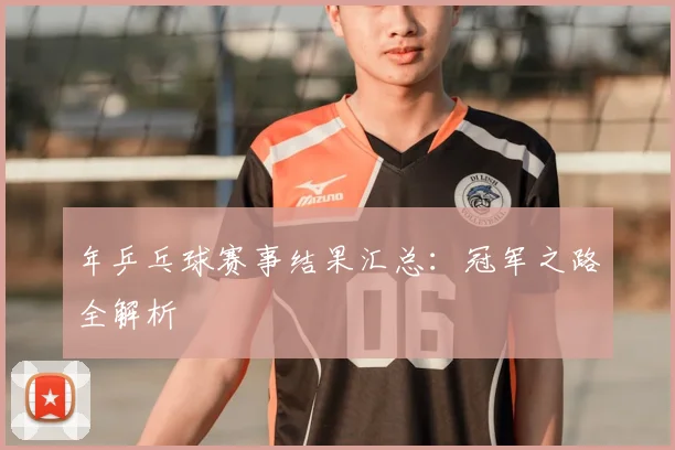 年乒乓球赛事结果汇总：冠军之路全解析